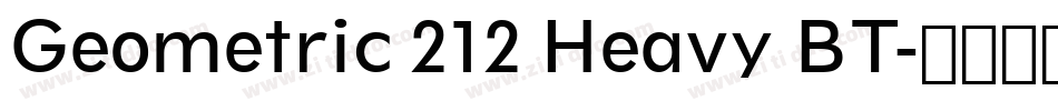 Geometric 212 Heavy BT字体转换